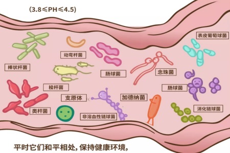 1女性清洗私处需注意，不然妇科疾病容易找上你.JPG