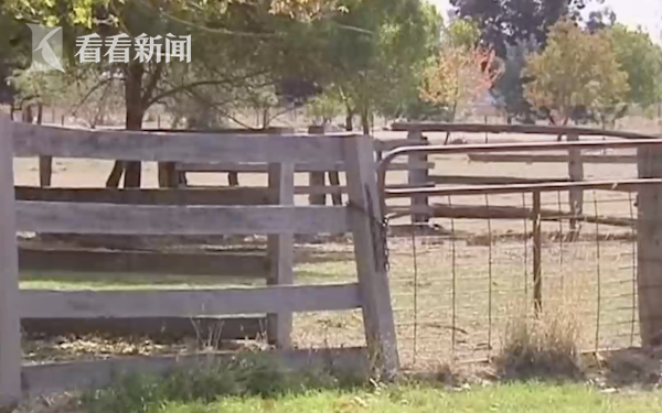 伉俪喂食宠物鹿时遭袭击 致一死一重伤