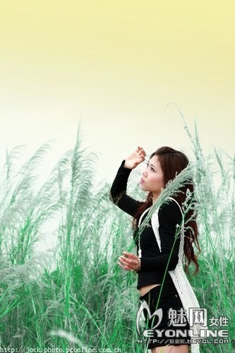 看他与前女友的日志 我哭了