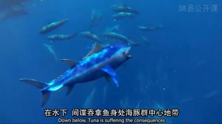 推拿泡妞还搞基，你再也不是纯良的海豚了